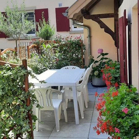 Le Repaire Des Hirondelles - Le Colombage Villa Scharrachbergheim-Irmstett Eksteriør billede