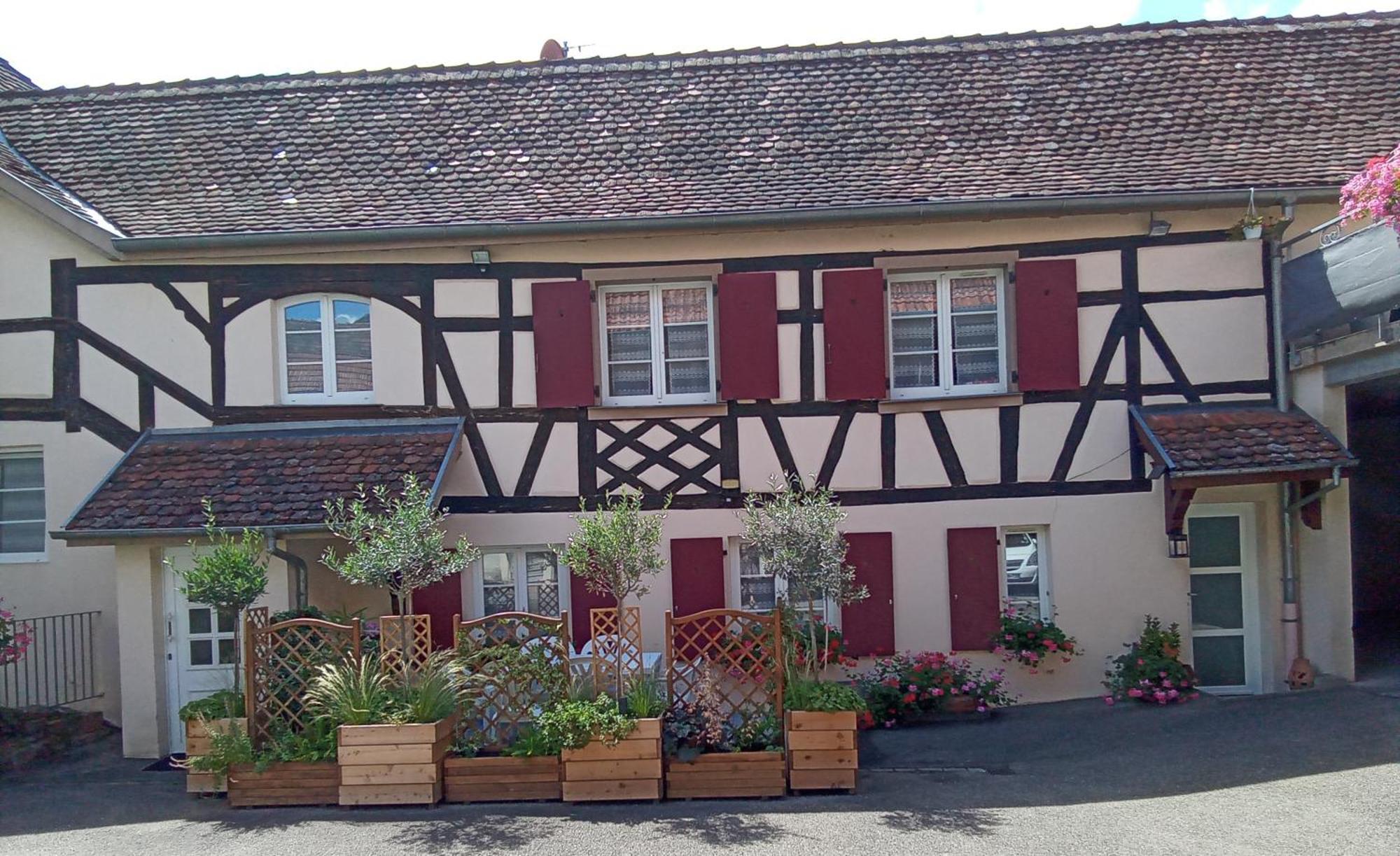 Le Repaire Des Hirondelles - Le Colombage Villa Scharrachbergheim-Irmstett Eksteriør billede