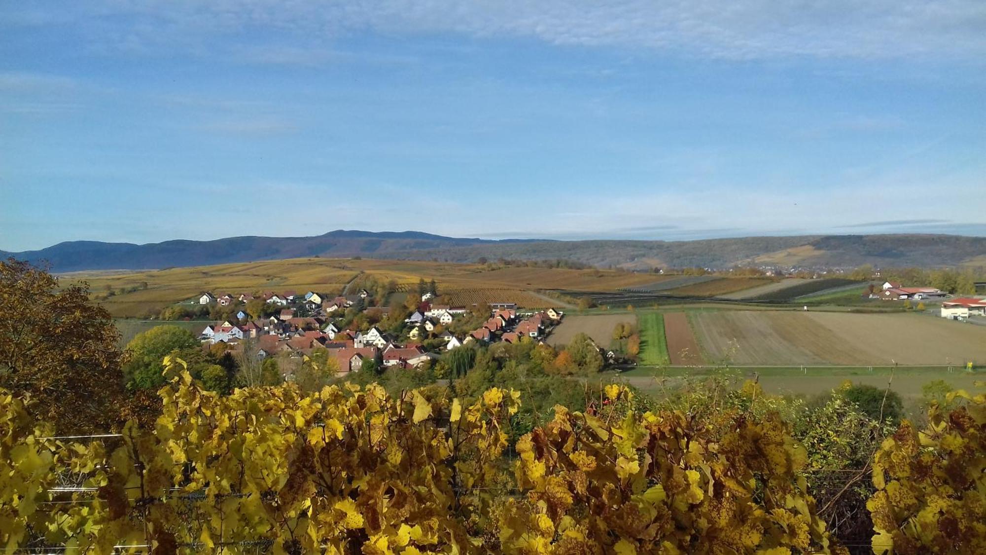 Le Repaire Des Hirondelles - Le Colombage Villa Scharrachbergheim-Irmstett Eksteriør billede
