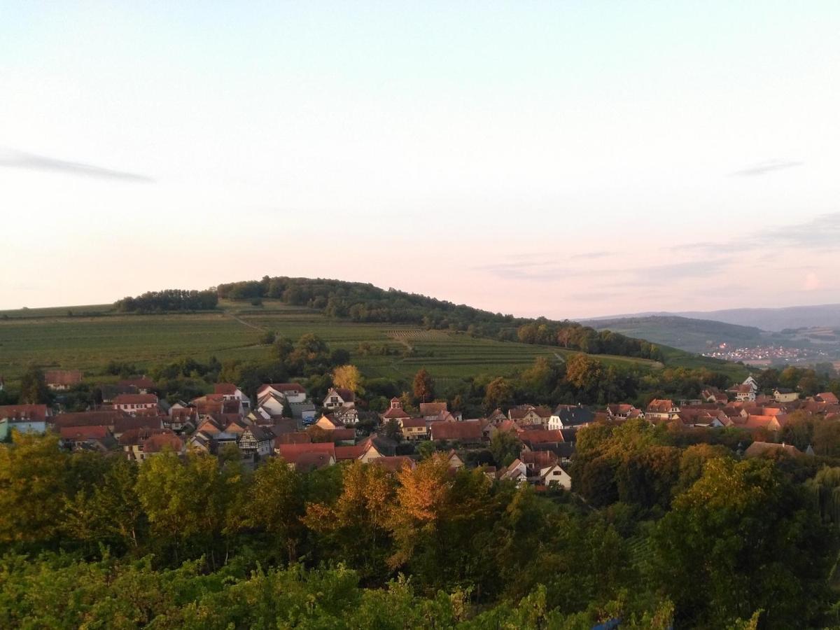 Le Repaire Des Hirondelles - Le Colombage Villa Scharrachbergheim-Irmstett Eksteriør billede